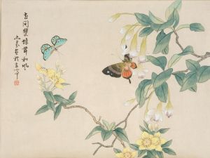 japanese_butterfly